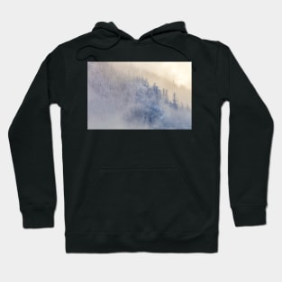 Winter Pacific Northwest Hoodie